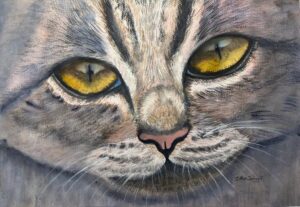 fb55545f 0a9b 4d97 9244 9201128981fc